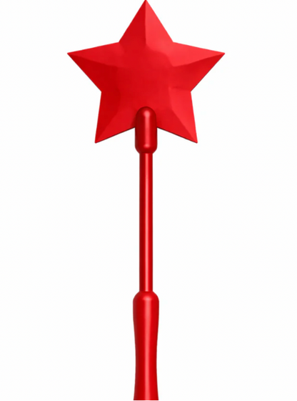 Fairy wand credit card holder